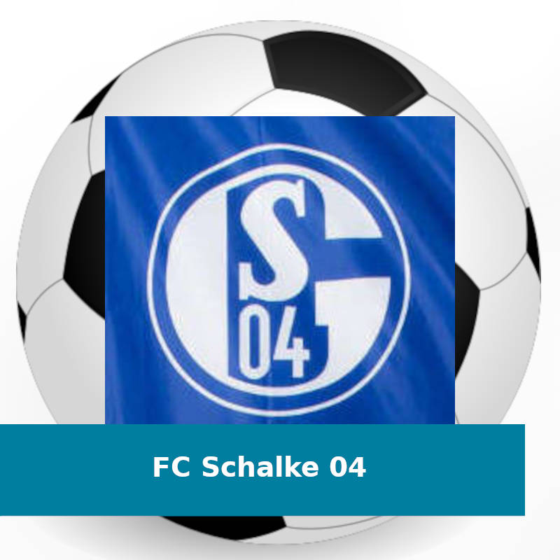 FC Schalke 04 Hissfahne Flaggen/Fahnen 250 x 150 cm Mehrfarbig