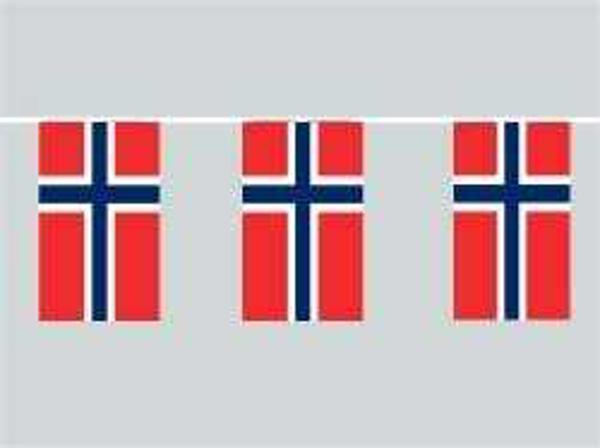 Fahnenkette Norwegen 6 m Fahne Flagge Flaggenkette 