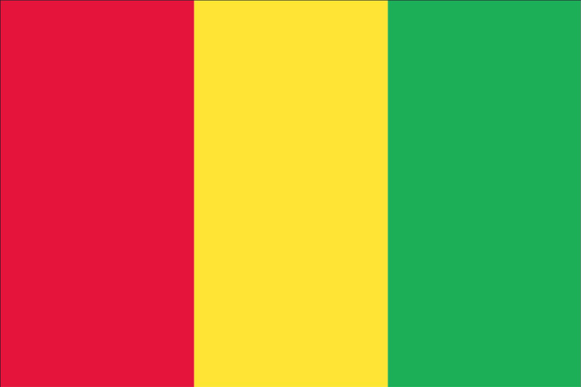 Flagge Guinea 80 g/m²