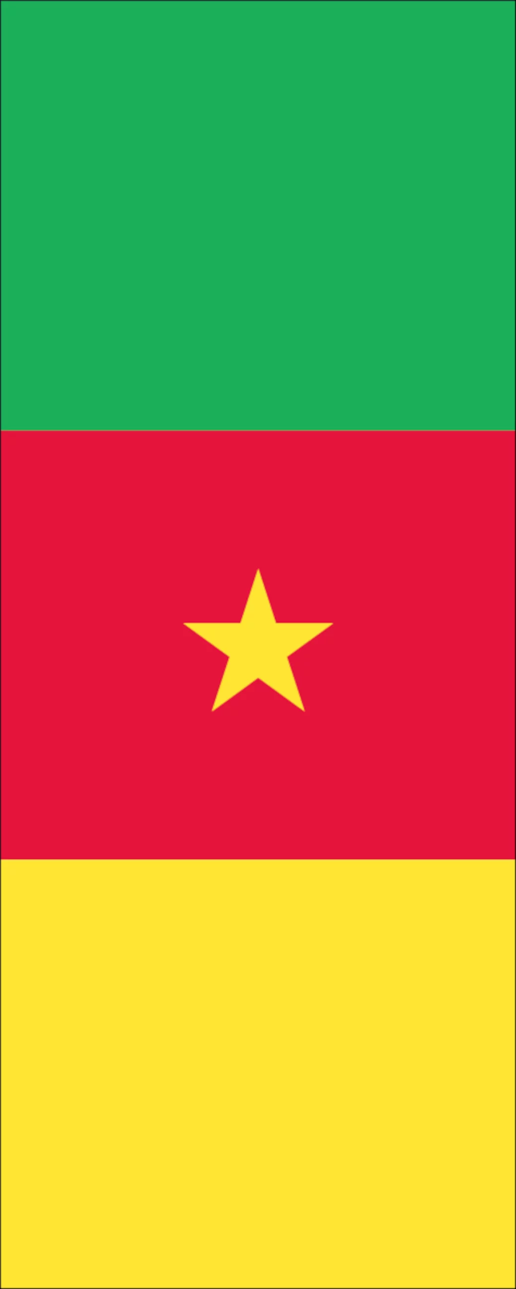 Flagge Kamerun