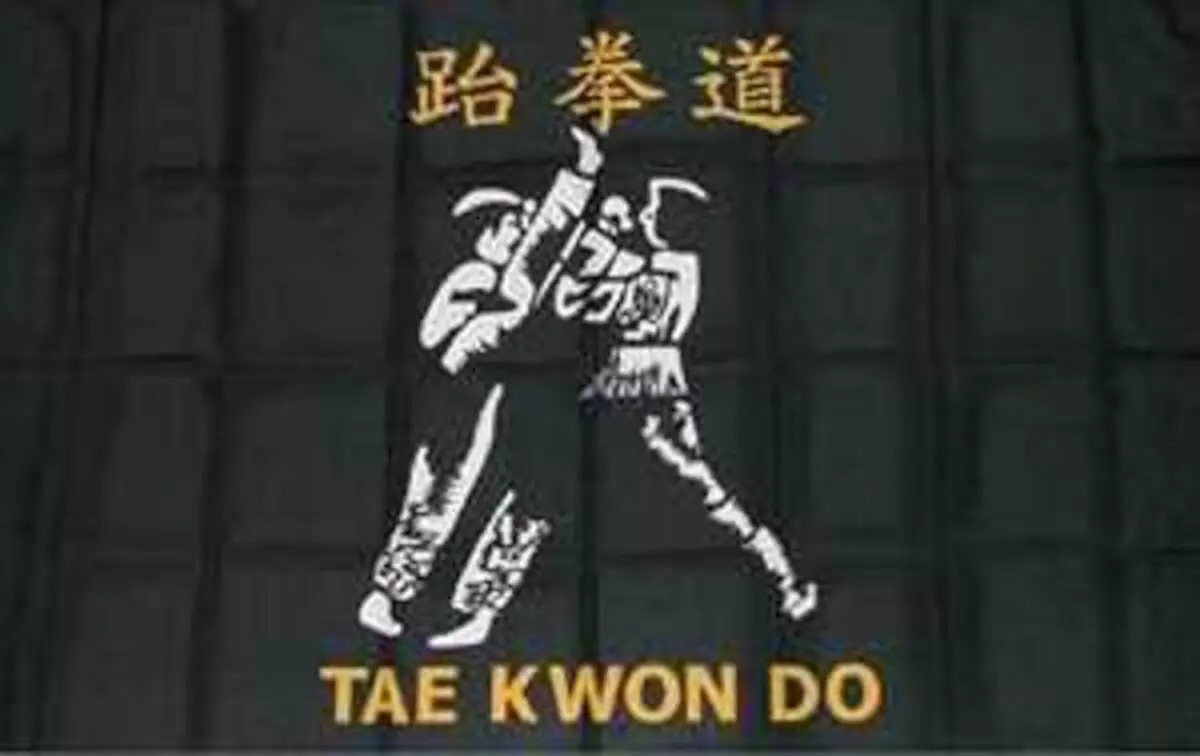 Flagge Taekwondo