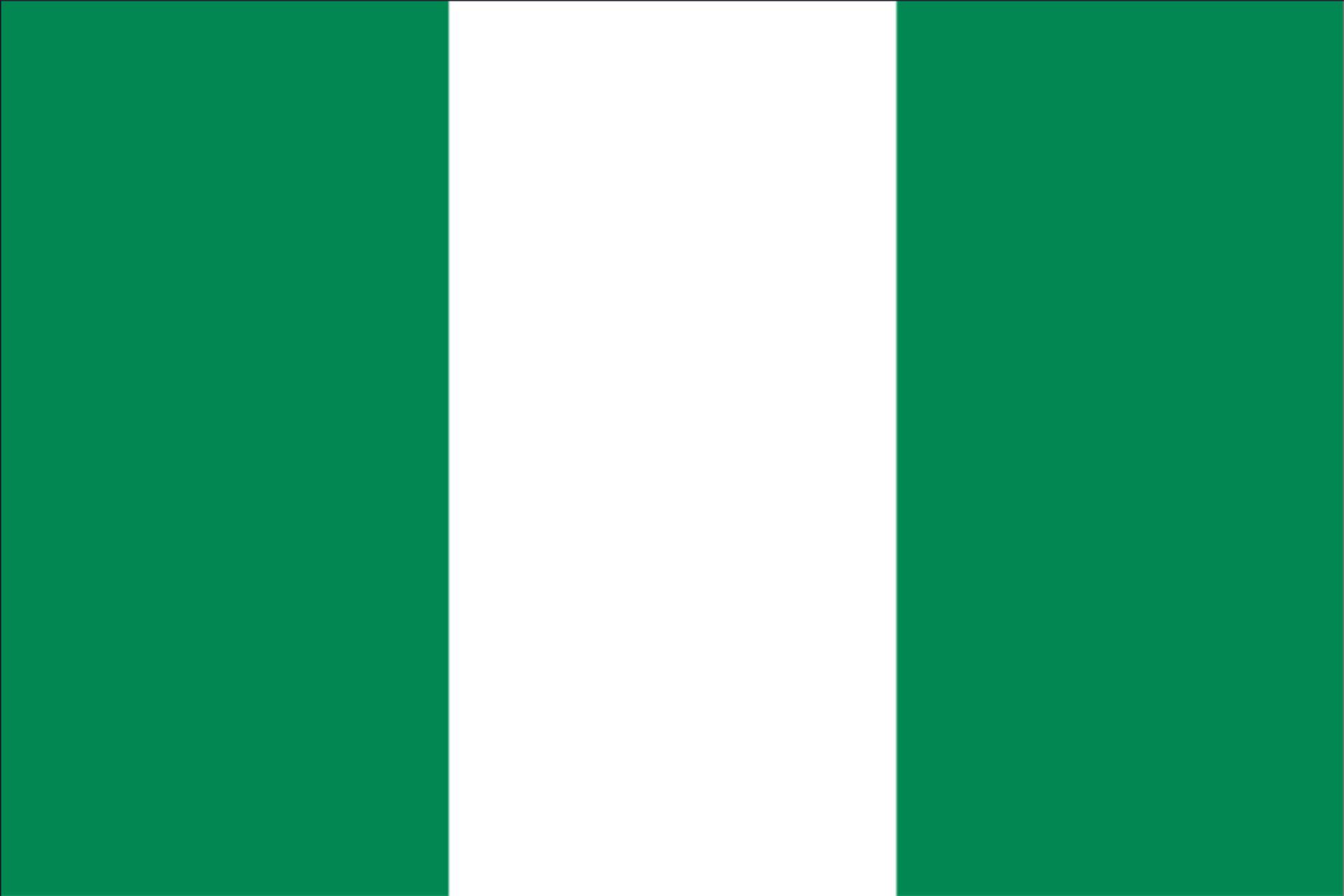 Flagge Nigeria 30 x 45 cm Fahne 
