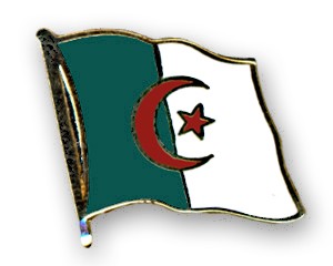 Flaggenpin Algerien