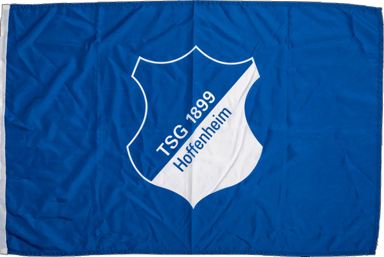Hoffenheim Schwenkflagge Logo Blau
