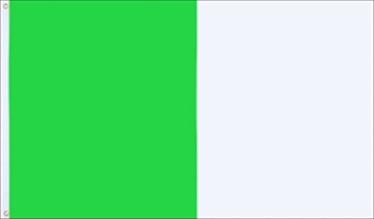 Flagge Limerick