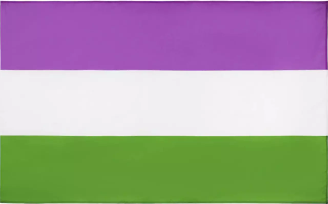 Die Genderqueer Flagge besteht aus horizontalen Streifen in den Farben Lila, Weiß und Grün. Diese Farben repräsentieren die Vielfalt der Geschlechtsidentitäten und Geschlechtsausdrücke innerhalb der genderqueeren Community. Die Flagge steht für die Sichtb
