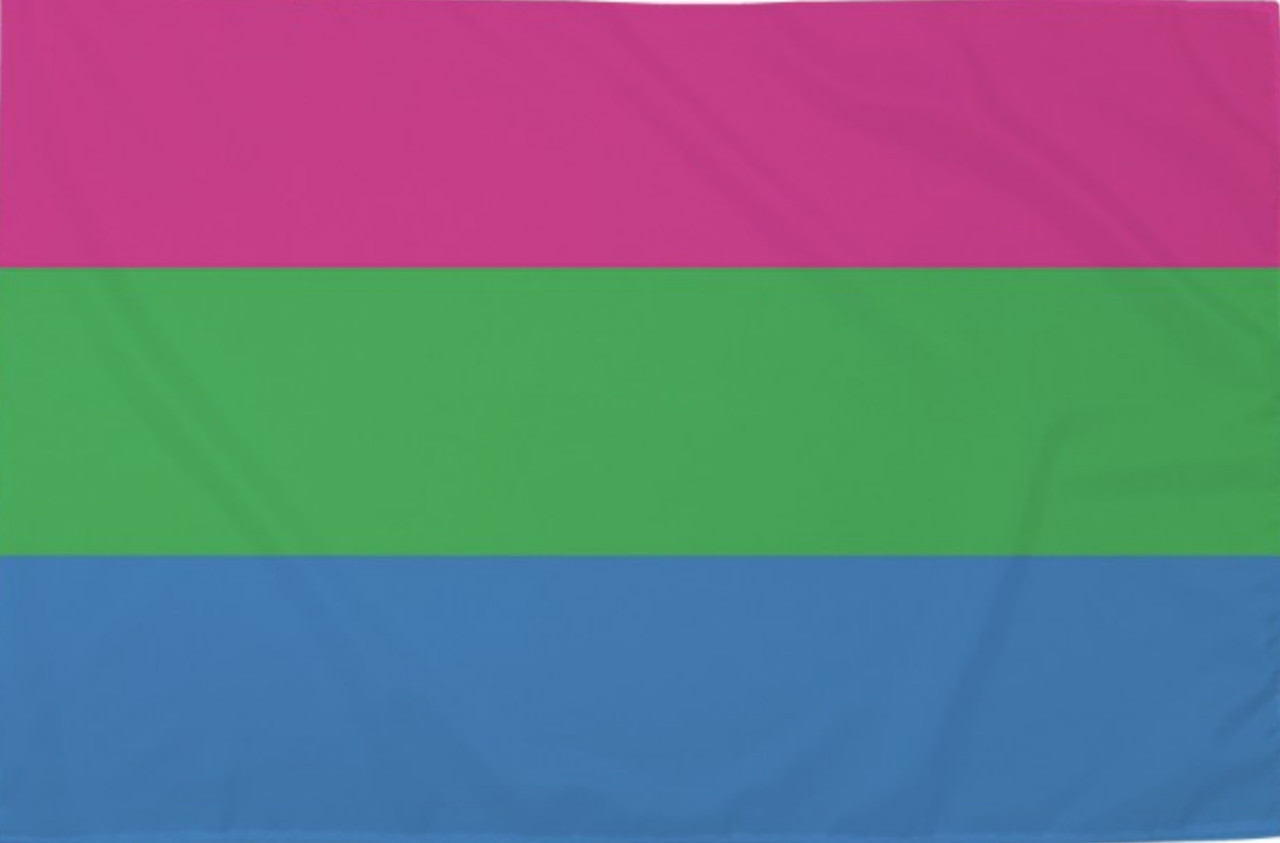 Die Polysexuelle Flagge ist ein Symbol für die Vielfalt der sexuellen Orientierungen. Mit ihren Farben und ihrem Design repräsentiert sie die Einzigartigkeit polysexueller Menschen. Zeigen Sie Ihre Unterstützung und Akzeptanz mit dieser wunderschönen Flag