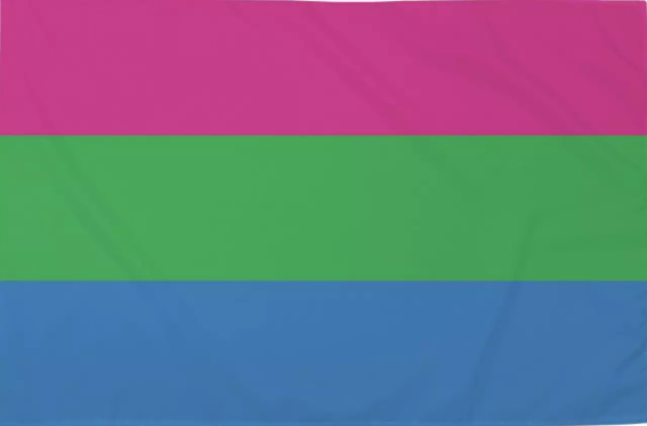 Die Polysexuelle Flagge ist ein Symbol für die Vielfalt der sexuellen Orientierungen. Mit ihren Farben und ihrem Design repräsentiert sie die Einzigartigkeit polysexueller Menschen. Zeigen Sie Ihre Unterstützung und Akzeptanz mit dieser wunderschönen Flag