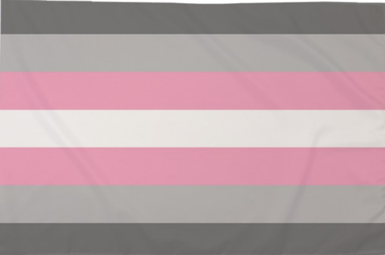 Die Demigirl Flagge, ein Symbol für Menschen, die sich als Demigirls identifizieren, eine Botschaft der Anerkennung und Akzeptanz.