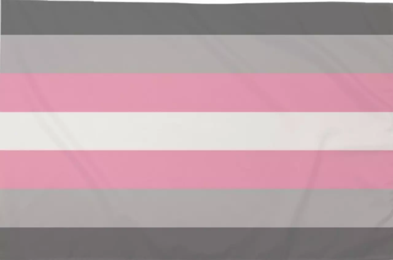 Die Demigirl Flagge, ein Symbol für Menschen, die sich als Demigirls identifizieren, eine Botschaft der Anerkennung und Akzeptanz.