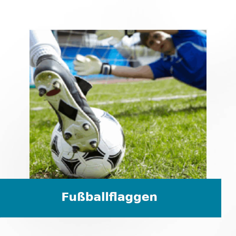 Hissfahne "Arbeit-Fussball-Leidenschaft" VFL Wolfsburg 
