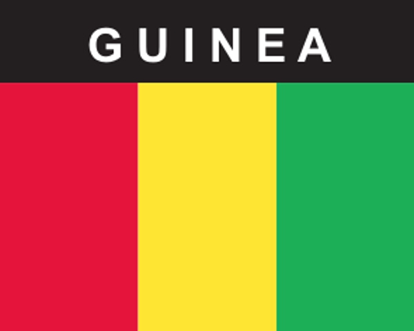 Flaggenaufkleber Guinea