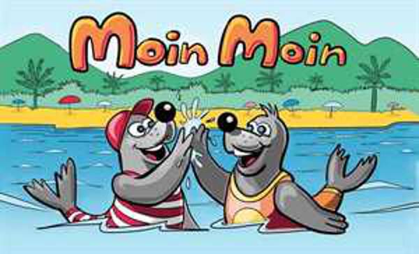 Flagge Moin Moin Seehunde im Urlaub 80 g/m²