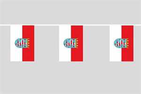 Flaggenkette Hessen mit Wappen 6 m 8 Flaggen