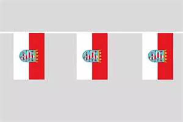 Flaggenkette Hessen mit Wappen