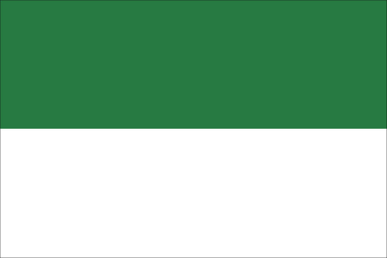 Flagge Schützenfest Grün Weiß