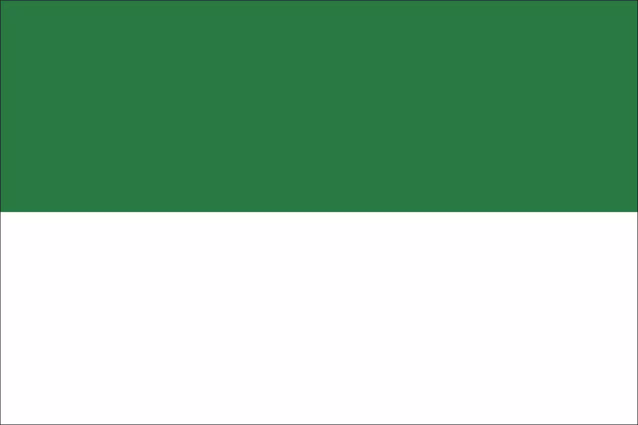 Flagge Schützenfest Grün Weiß