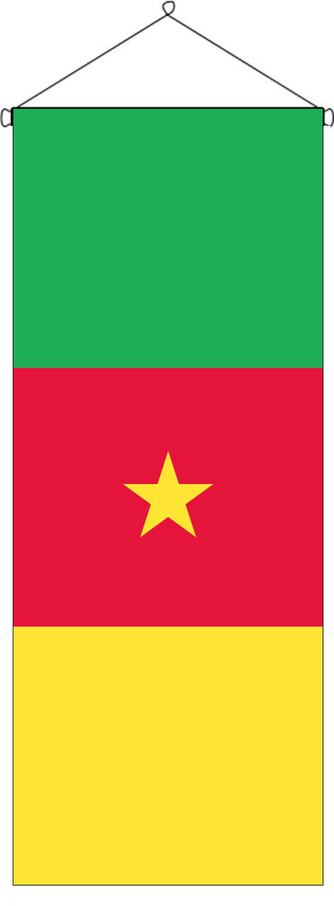 Flaggenbanner Kamerun