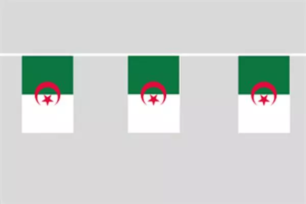 Flaggenkette Algerien