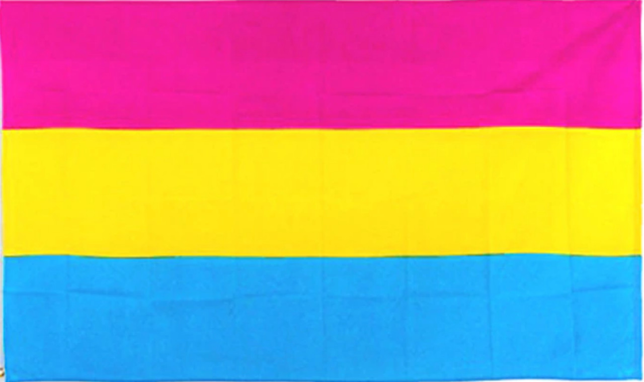 Die Pansexuelle Flagge ist ein Symbol für die Liebe ohne Geschlechtergrenzen. Mit ihren Farben und ihrem Design repräsentiert sie die Vielfalt und Offenheit pansexueller Menschen. Zeigen Sie Ihre Unterstützung und Akzeptanz mit dieser wunderschönen Flagge