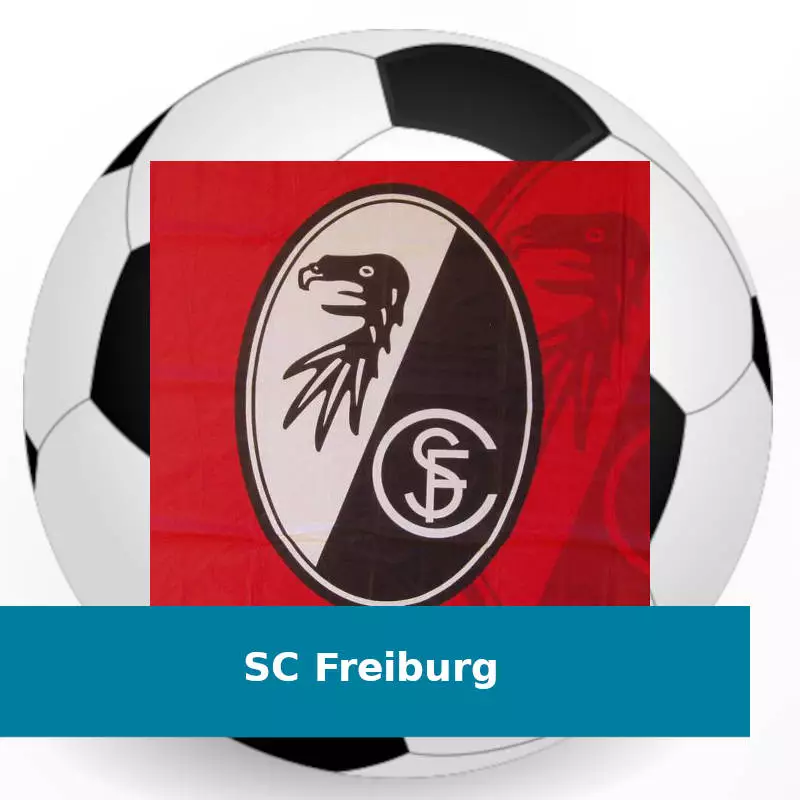 flaggenmeer Kategorie SC Freiburg