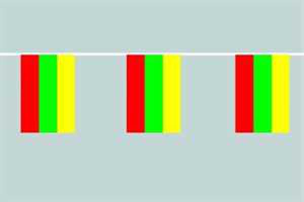 Flaggenkette Litauen 6 m 8 Flaggen