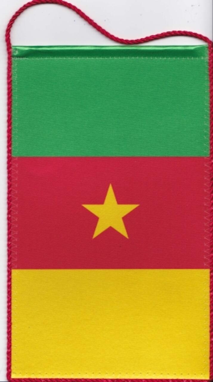 Tischbanner Kamerun Foto