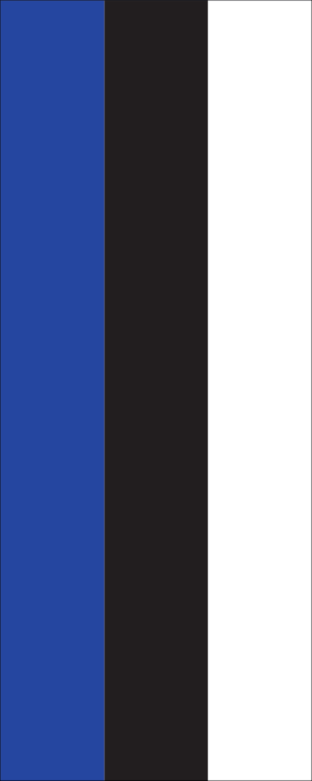 Flagge Estland 30 x 45 cm Fahne 
