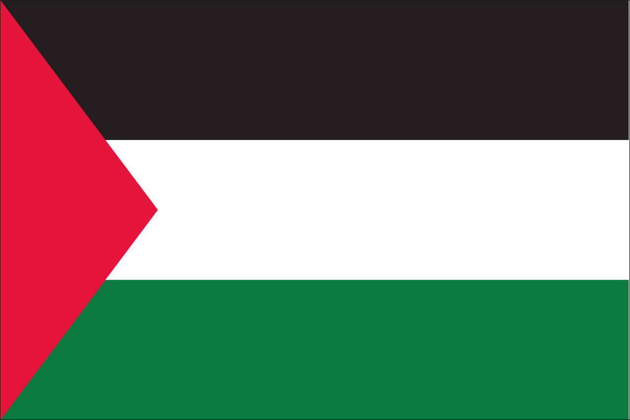 Flagge Palästina 110 g/m² Querformat