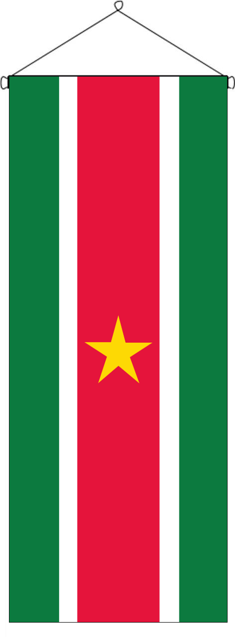 Flaggenbanner Surinam