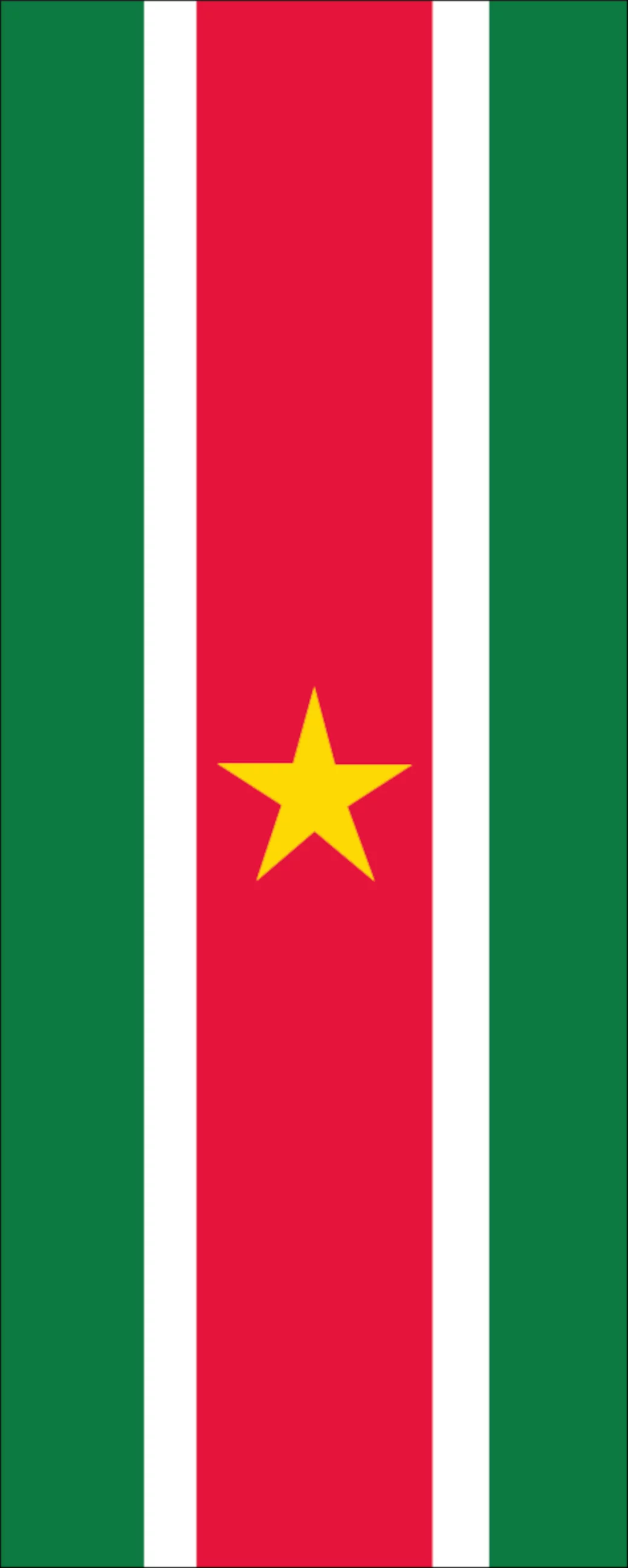Flagge Surinam