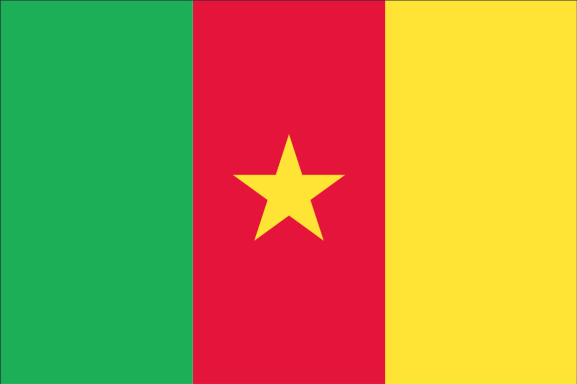 Flagge Kamerun 80 g/m²