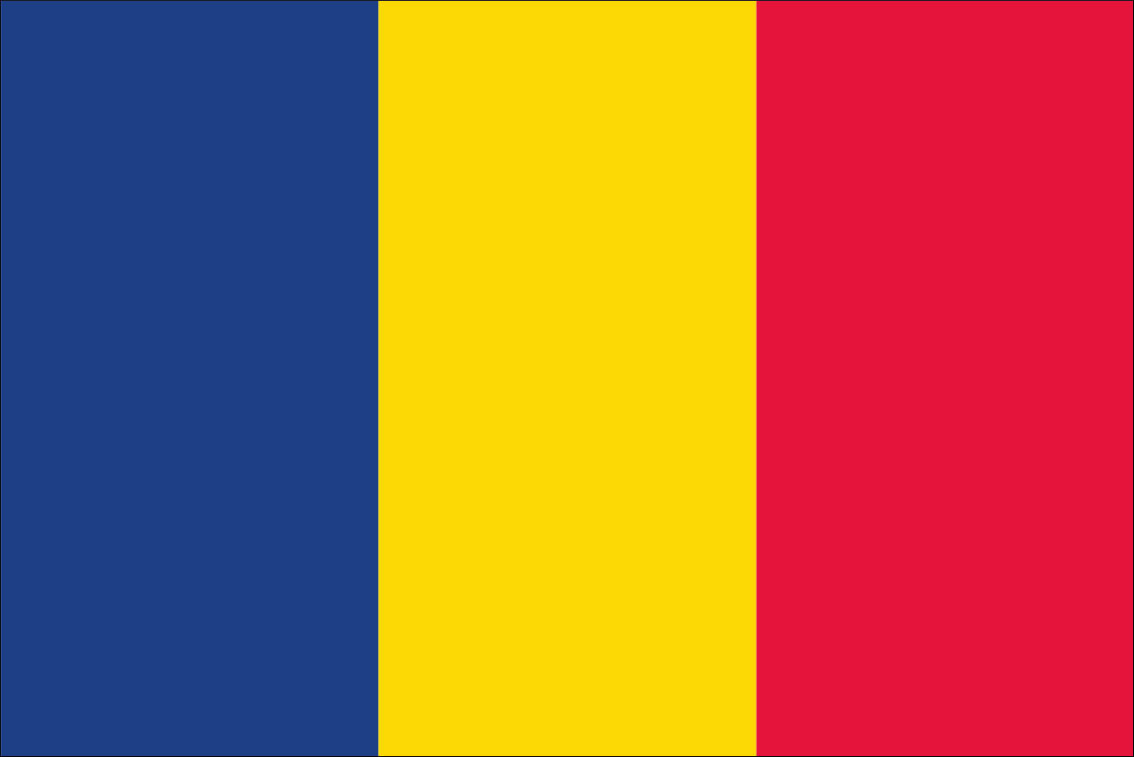 Fahne Flagge Rumänien 30x45 cm mit Stab 