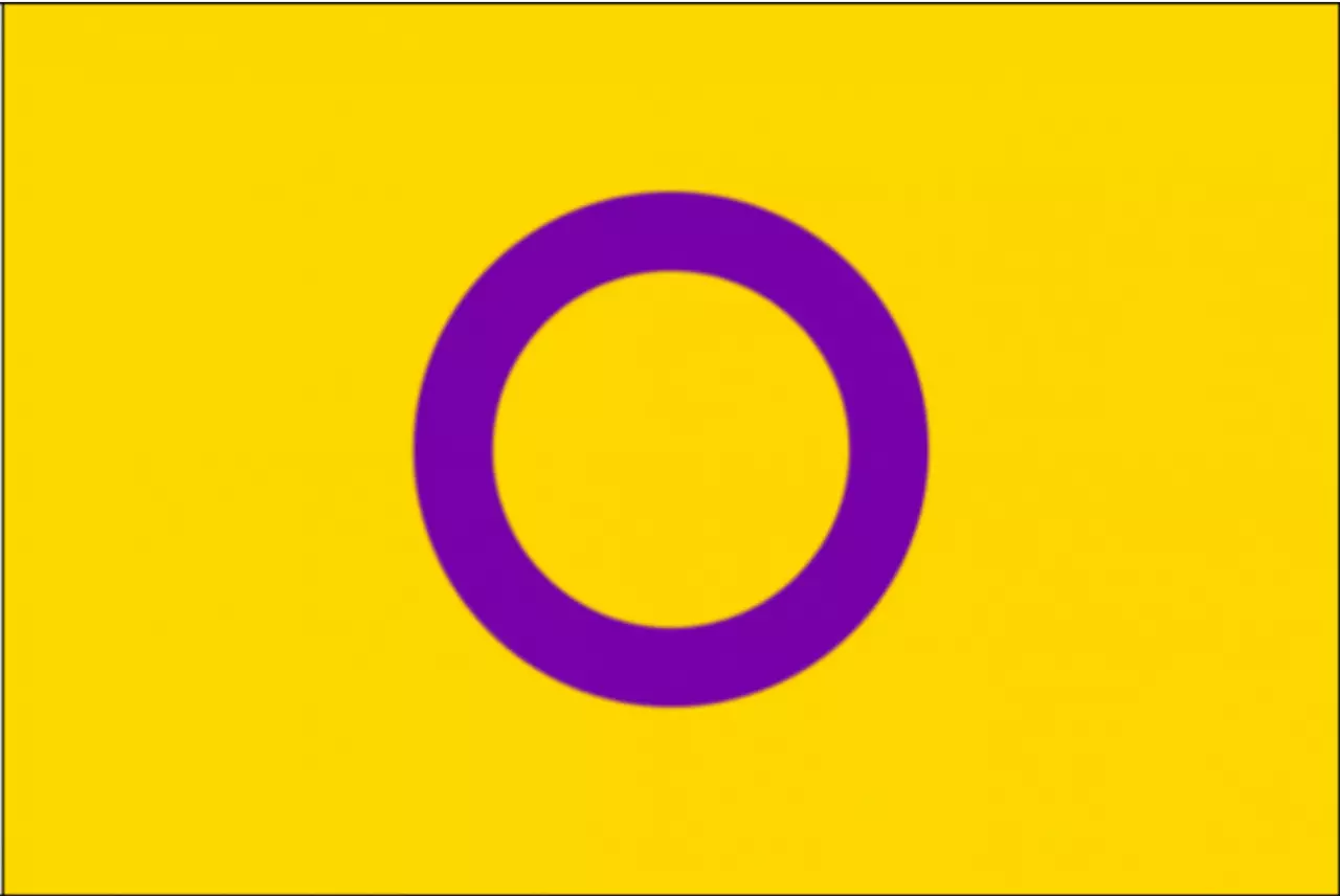 Die Intersex Flagge auf gelbem Hintergrund mit einem lila Kreis ist ein Symbol für die Sichtbarkeit und Anerkennung von intersexuellen Menschen. Die gelbe Farbe symbolisiert das Licht und die Klarheit, während der lila Kreis die Vielfalt der Geschlechtsid