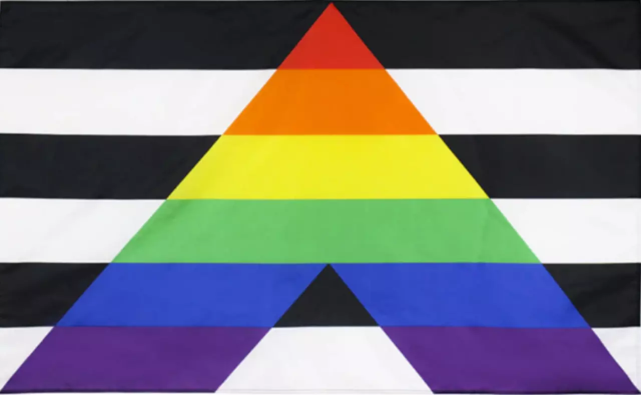 Die Straight Ally Flagge zeichnet sich durch ihre Grundfarben Schwarz und Weiß aus, die in horizontalen Streifen angeordnet sind. In der Mitte der Flagge steht ein großes, gleichseitiges Dreieck in den lebendigen Regenbogenfarben. Dieses Dreieck symbolisi