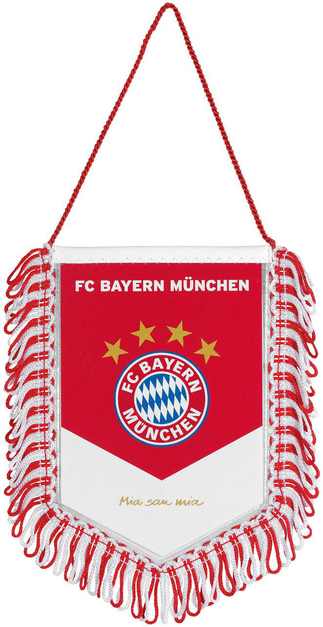 Bayern München Banner