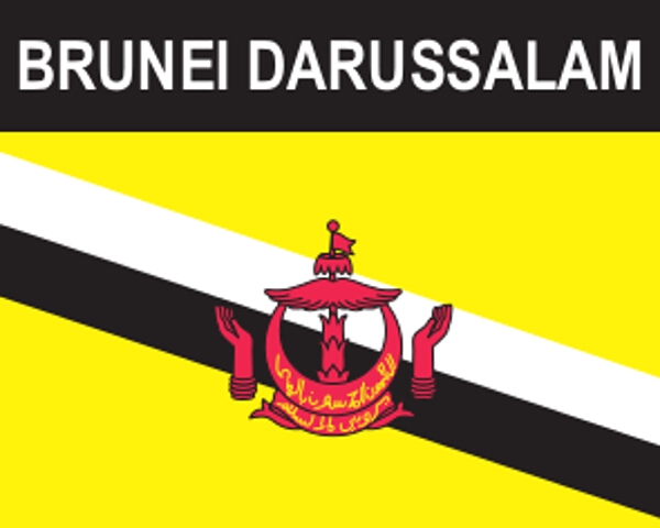 Flaggenaufkleber Brunei