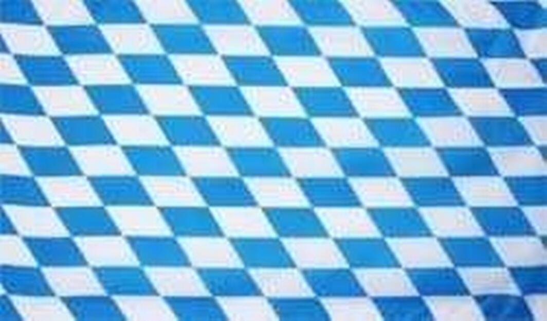 Flagge Bayern kleine Rauten