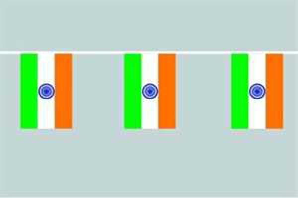 Flaggenkette Indien 6 m 8 Flaggen