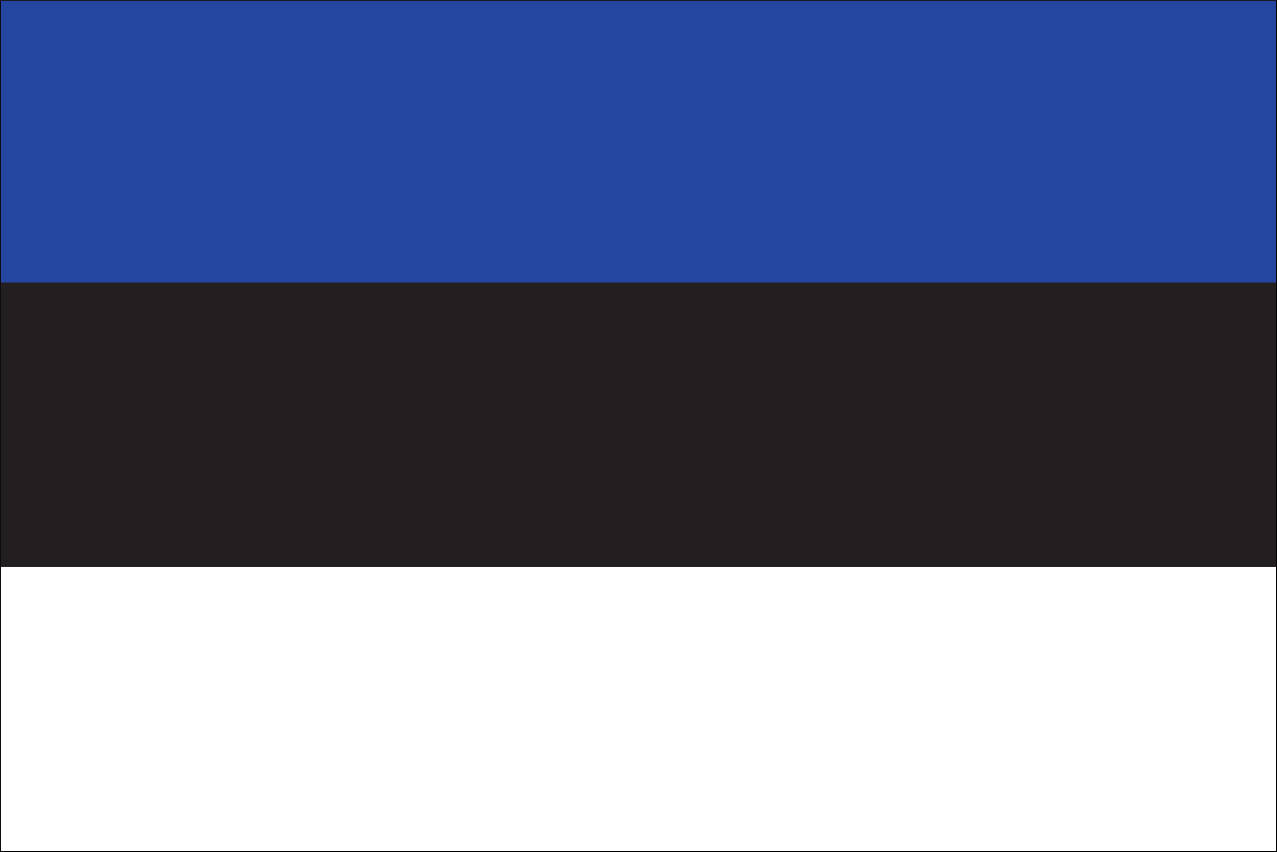 Flagge Estland 110 g/m² Querformat