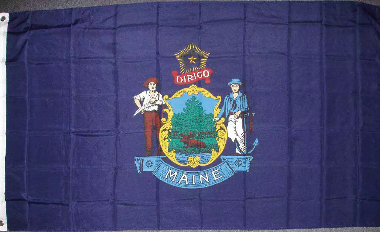 Flagge Maine
