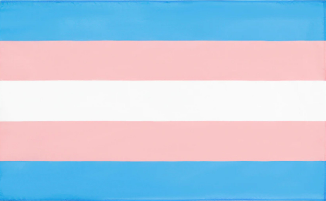 Die Transgender Flagge, ein starkes Symbol für die Geschlechtervielfalt und Akzeptanz in der LGBTQ+-Gemeinschaft. Diese Flagge besteht aus horizontalen Streifen in den Farben Blau, Rosa und Weiß, wobei Blau und Rosa traditionell mit männlichen und weiblic