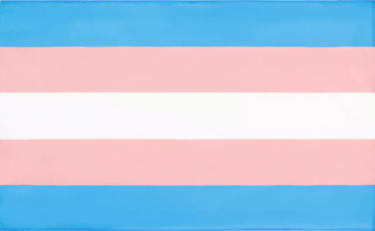 Die Transgender Flagge, ein starkes Symbol für die Geschlechtervielfalt und Akzeptanz in der LGBTQ+-Gemeinschaft. Diese Flagge besteht aus horizontalen Streifen in den Farben Blau, Rosa und Weiß, wobei Blau und Rosa traditionell mit männlichen und weiblic