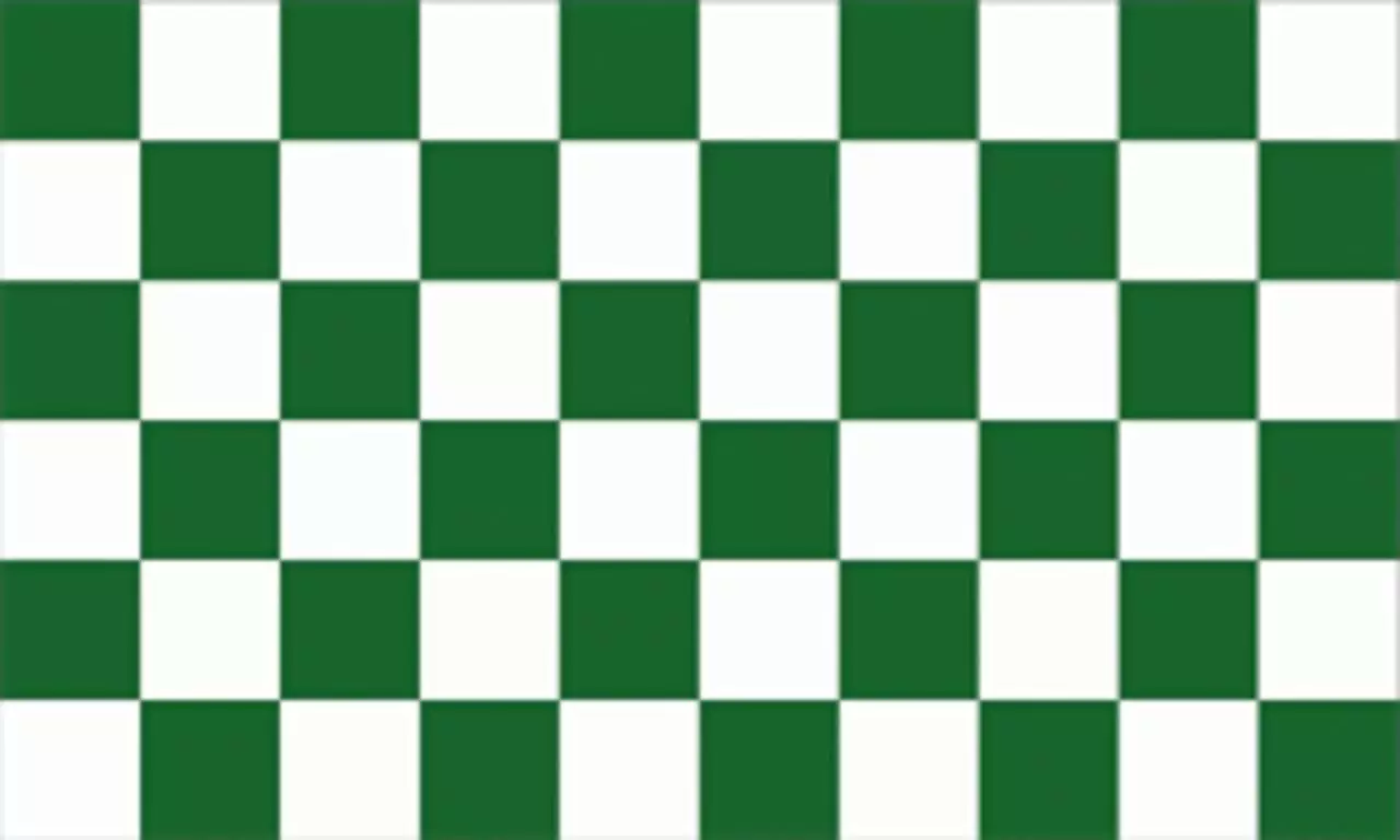 Flagge Karo Grün Weiß
