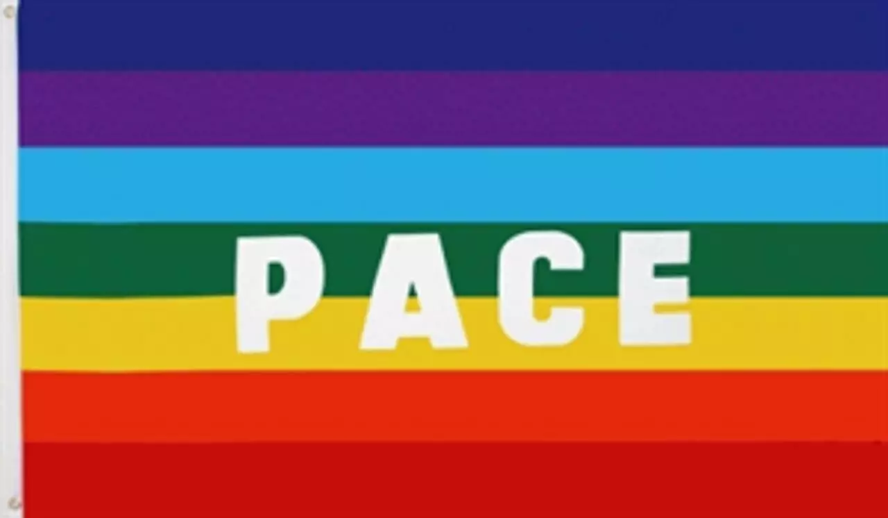 Flagge Regenbogen Pace