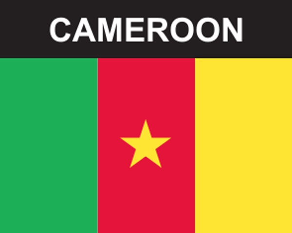Flaggenaufkleber Kamerun