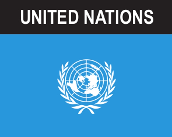 Flaggenaufkleber UNO