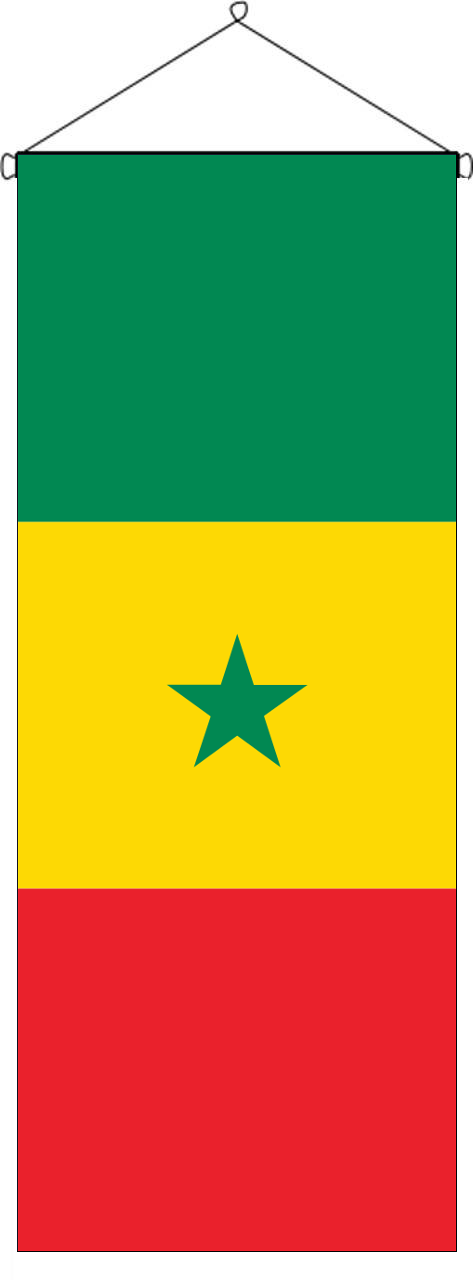 Flaggenbanner Senegal