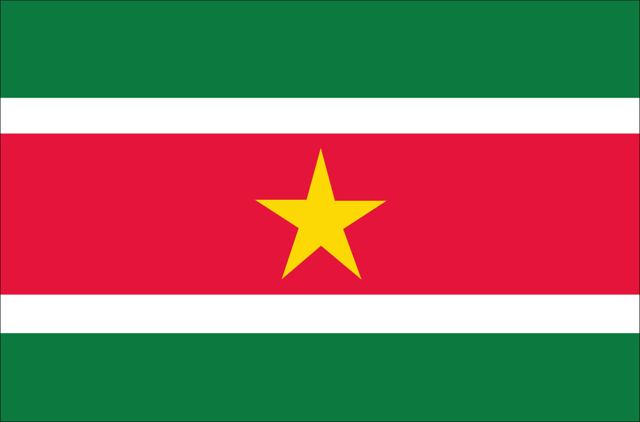 Flagge Surinam 110 g/m² Querformat