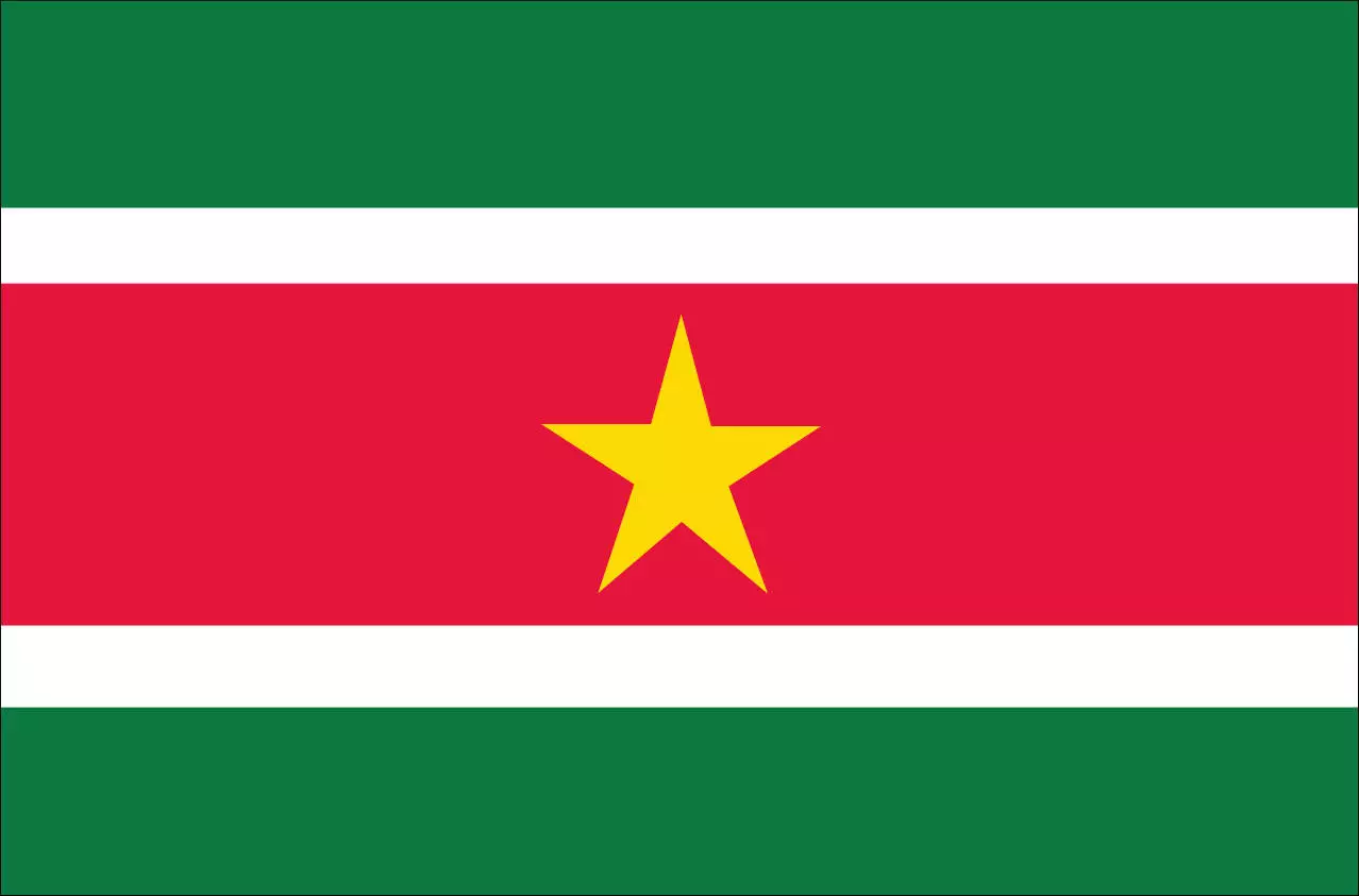 Flagge Surinam